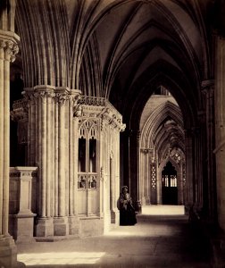 Wells Cathedral, South Aisle of Nave by Francis Bedford