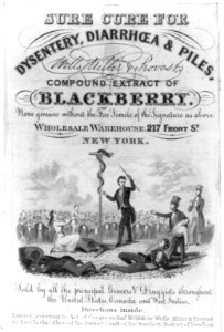 Wells, Miller, and Provost's Compound Extract of Blackberry LCCN2001701412