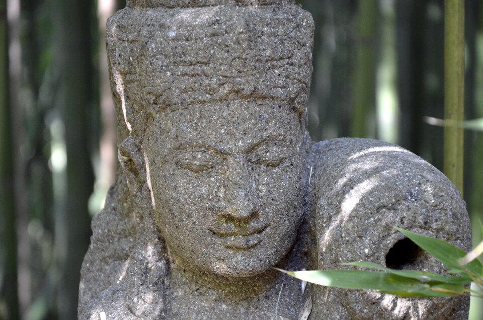 Meditation wisdom tranquility