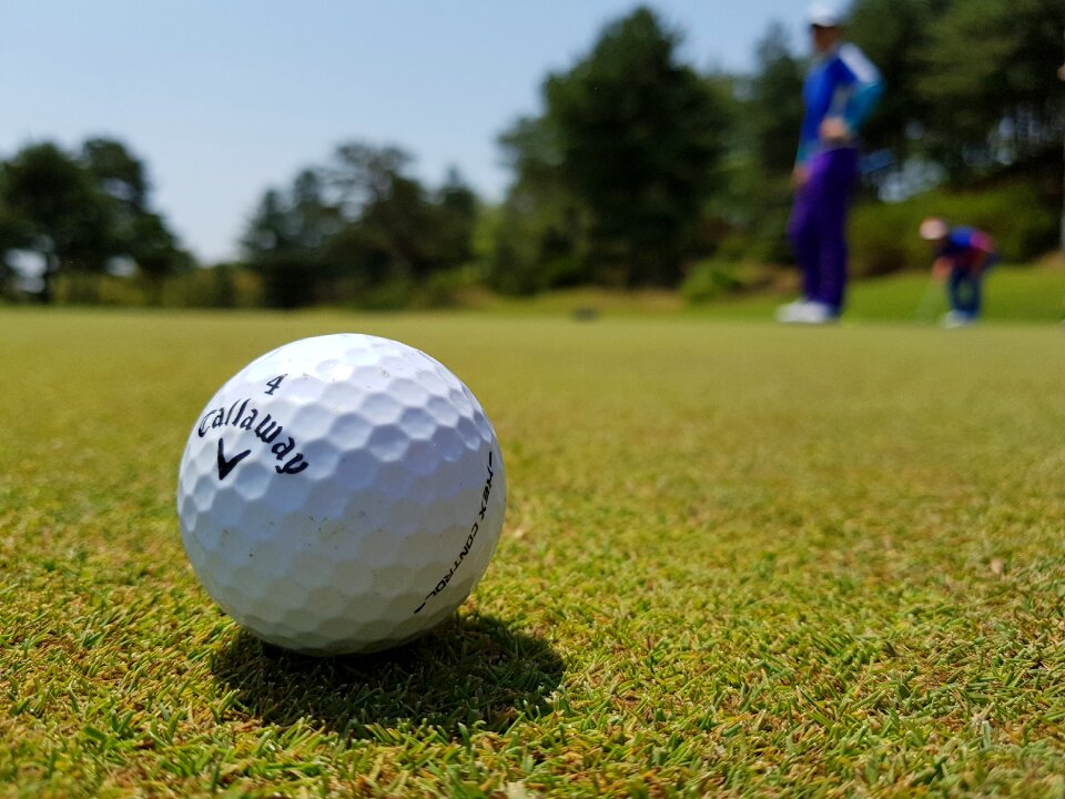 Golf club sport fairway