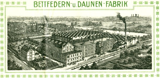 Werner & Ehlers Bettfedern- und Daunen-Fabrik Hannover-Linden Rechnungsvordruck obere Hälfe genutzt 1935-11-16 600dpi, Ausschnitt 02