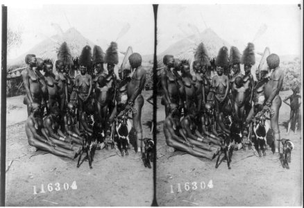 West Africa, 1909- group of nearly-naked women with several goats LCCN2003690305