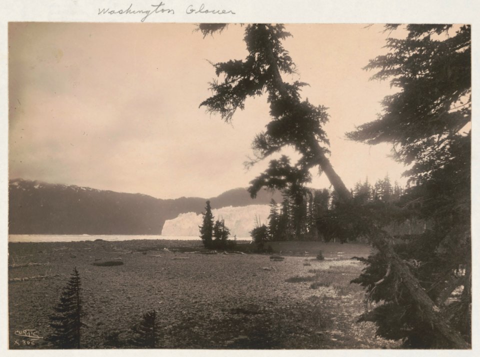 West front of Columbia Glacier, Prince William Sound, Alaska LCCN2017645532