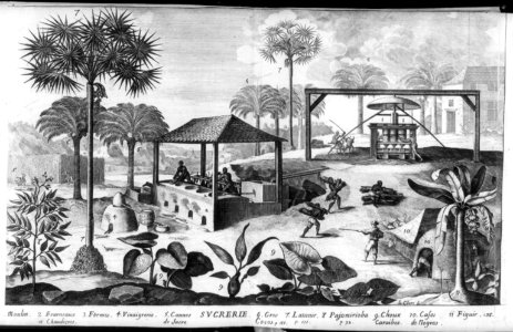 West Indies- manufacture of sugar LCCN2003663735