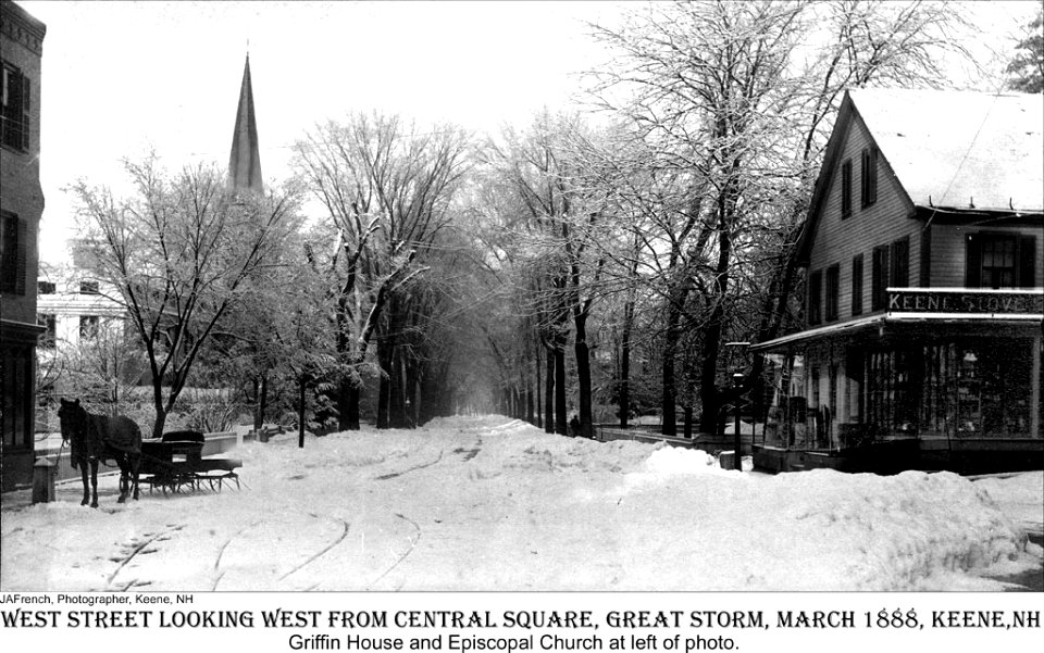 West Street after the Blizzard of 1888 (4443084745)
