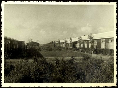 Westerbork, Holland, A garden between camp barracks