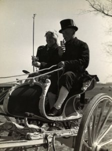 Westfriese bruiloft (41208844192)