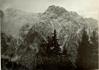 Westgipfel des Monte Zermula (2116) und Punta Cul di Cretta 1906 m von Norden. (BildID 15464186)