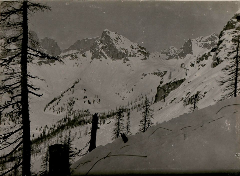 Westliche Marmolata, Lawinenunglück bei Costabella-Seilbahn-Mittelstation.Col Ombert, Cime Cardina, dahinter Vernel, Marmolata, vorne Forecalpe (BildID 15735565)