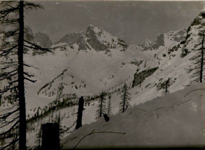 Westliche Marmolata, Lawinenunglück bei Costabella-Seilbahn-Mittelstation.Col Ombert, Cime Cardina, dahinter Vernel, Marmolata, vorne Forecalpe (BildID 15735565)