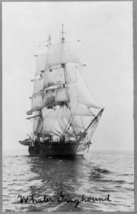 Whaler GRAYHOUND (with bow in foregrd.) LCCN2003671199