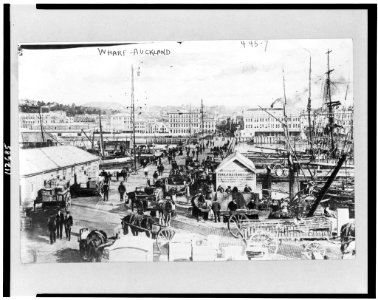 Wharf in Auckland, New Zealand, Aug. 11, 1908 LCCN95502519
