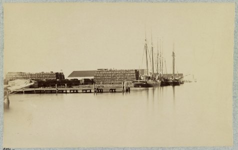 Wharves at Bermuda Hundred Landing, Va LCCN2012650173