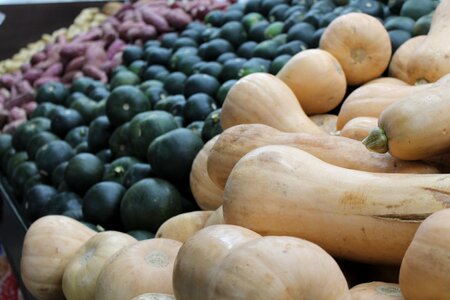 Squash super market fresh photo