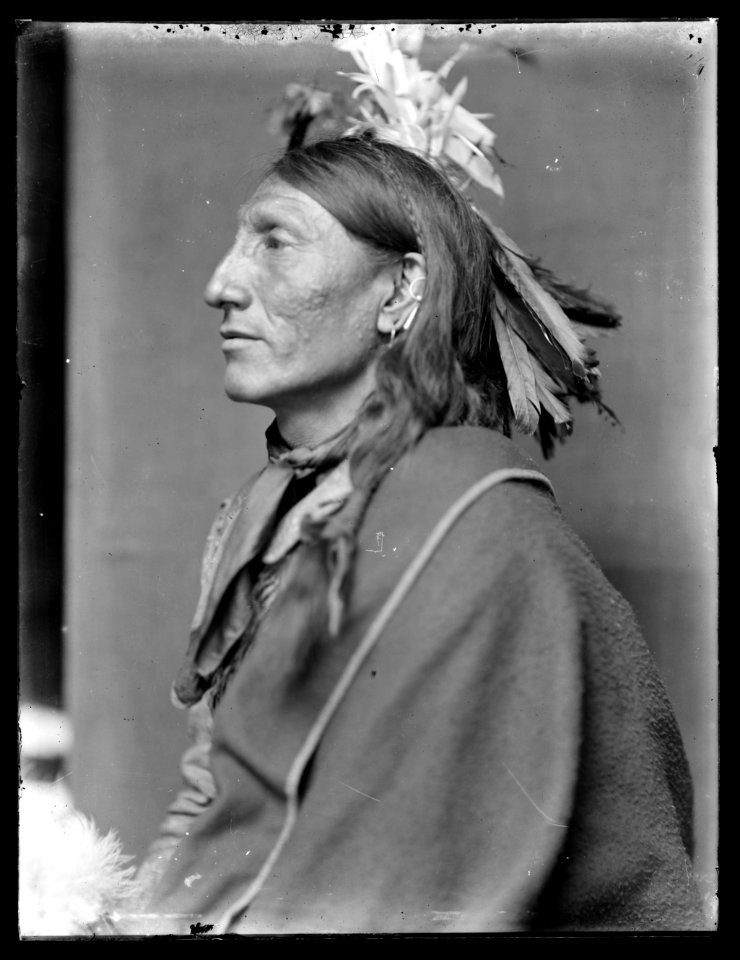 Whirling Horse, American Indian LCCN2006679574