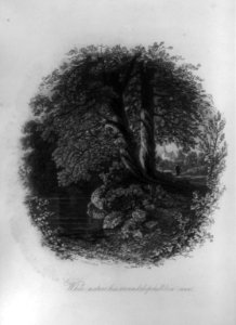 While nature lies around deep-lull'd in noon - Schmolze. LCCN93508040