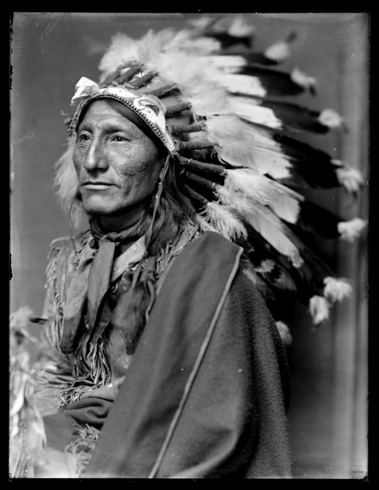 Whirling Horse, American Indian LCCN2006691703