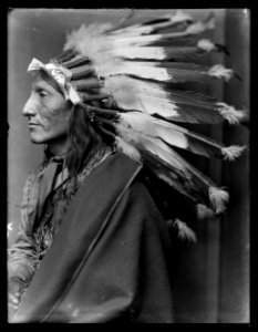 Whirling Horse, American Indian LCCN2006679579