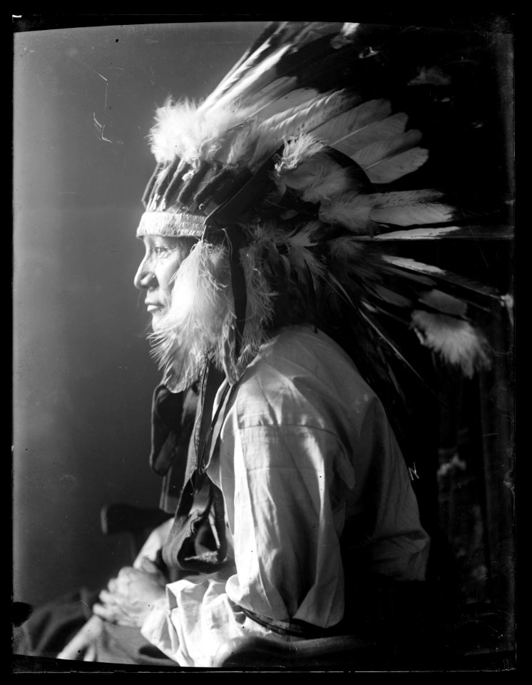 Whirlwind Horse, American Indian LCCN2006679597