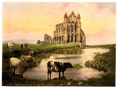 Whitby abbey