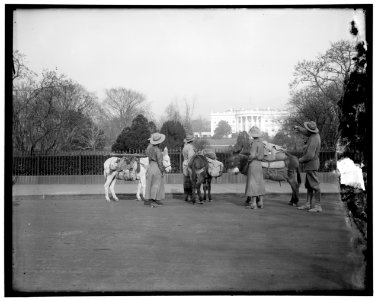 White House LOC hec.13423