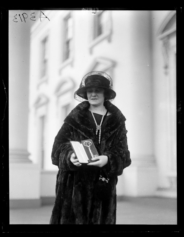 White House visitor, Washington, D.C. LCCN2016891120