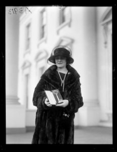White House visitor, Washington, D.C. LCCN2016891120