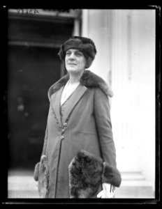 White House visitor, Washington, D.C. LCCN2016890946