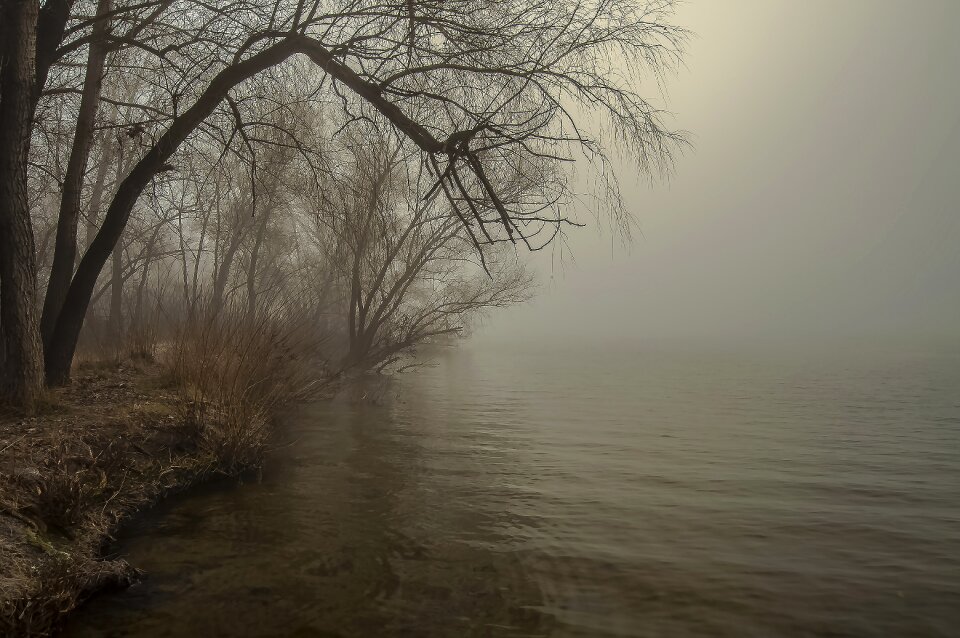 Landscape nature river photo