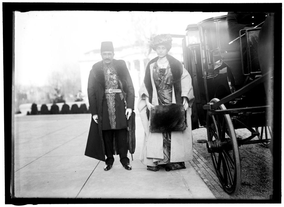 White House visitors, Washington, D.C. LOC hec.01898