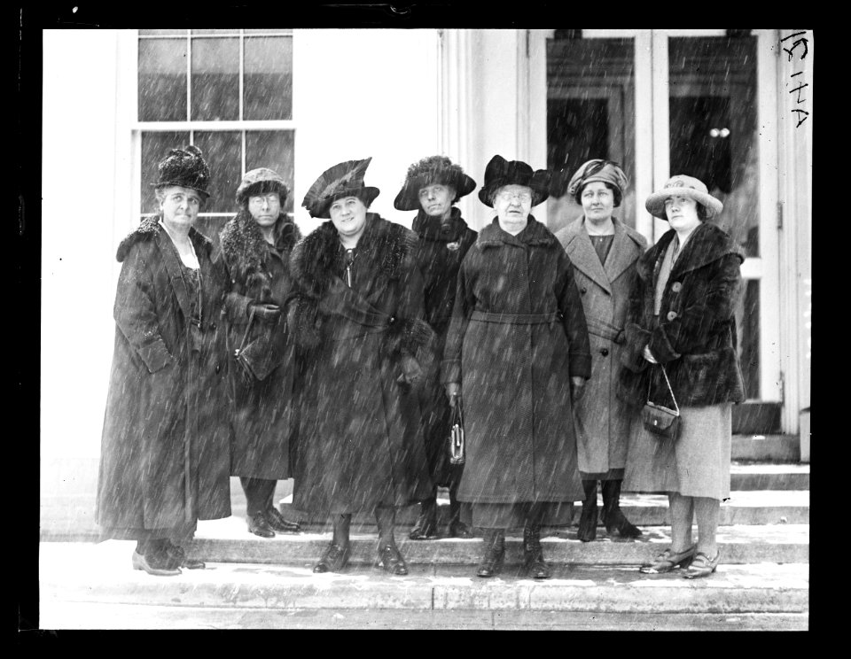 White House visitors. Washington, D.C. LCCN2016891262