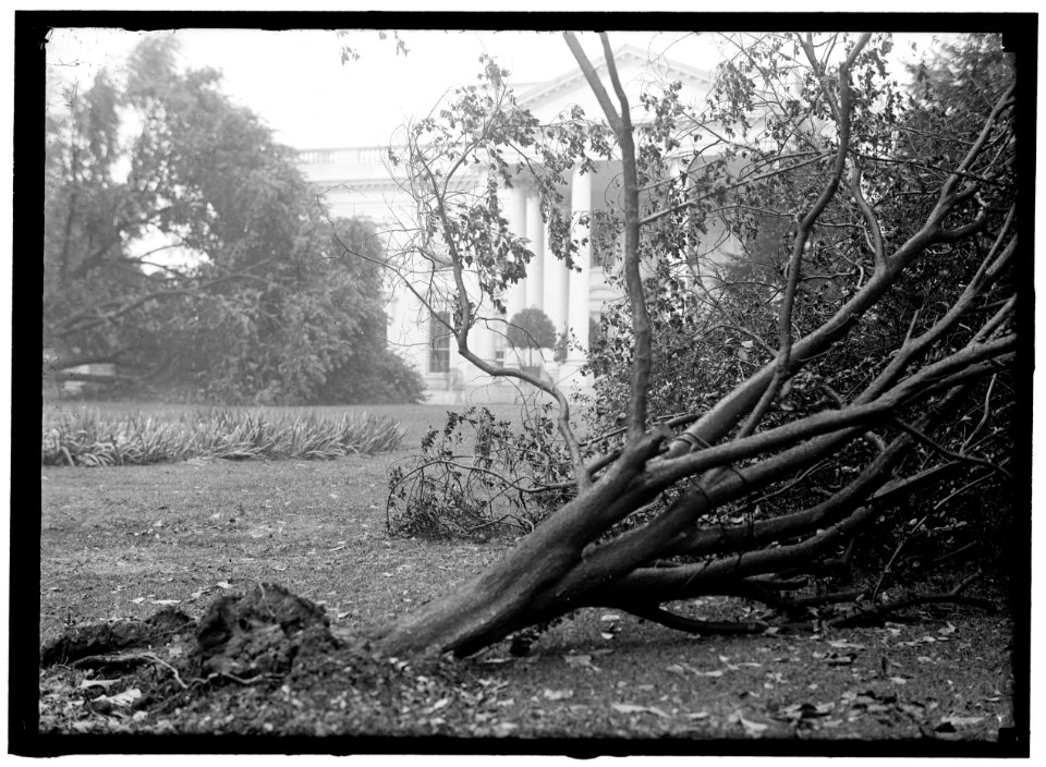White House) STORM DAMAGE LOC hec.02991
