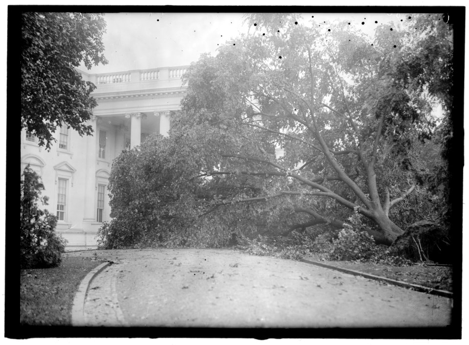 White House) STORM DAMAGE LOC hec.02999