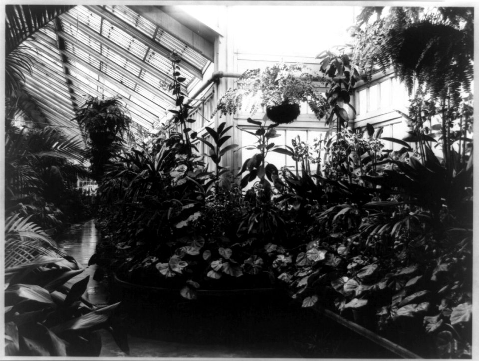 White House, Conservatory LCCN96512664