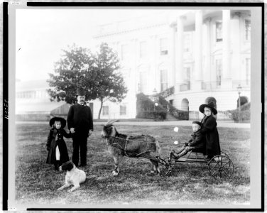 White House-Major Russell Harrison and Harrison children-Baby McKee and sister on goat cart LCCN97510241