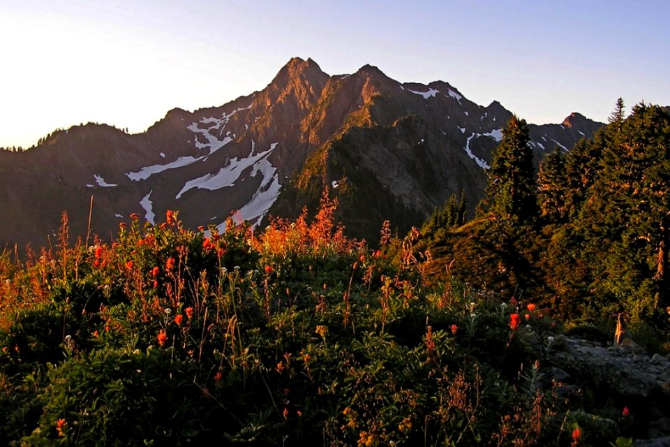White Mountain in Morning Light