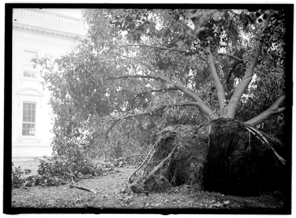 White House) STORM DAMAGE LOC hec.02992