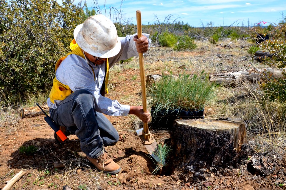 White Mountain Apache Arizona-105