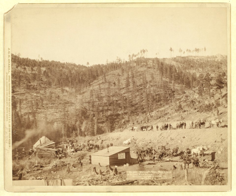 Whitewood Canyon, Wade and Jones R.R. Camp, Black So. Dak. LCCN99613822