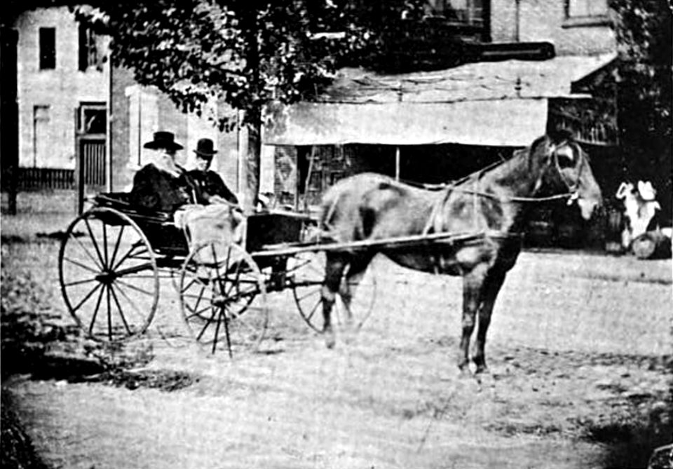 Whitman and Dukett