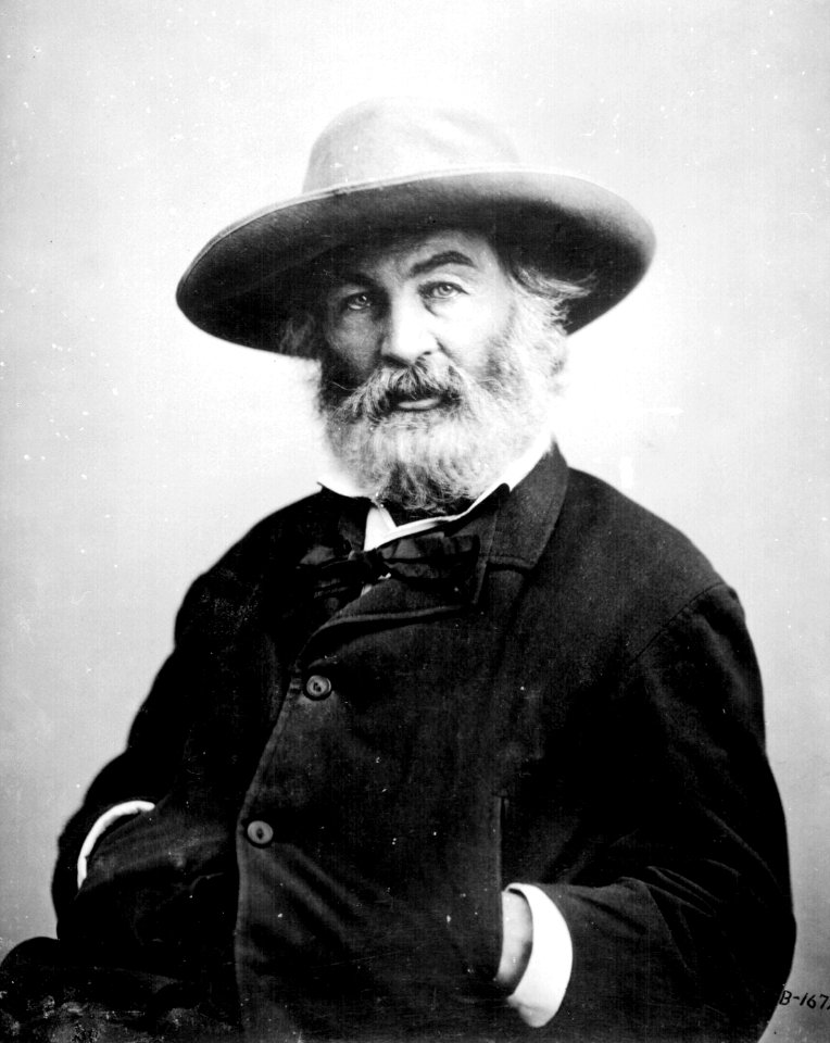 Walt Whitman by Mathew Brady