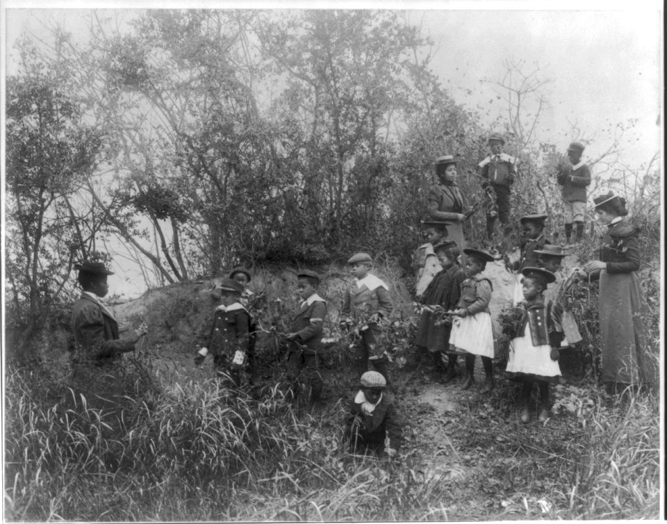 Whittier School students on a field trip studying plants, Hampton, Virginia LCCN98502970