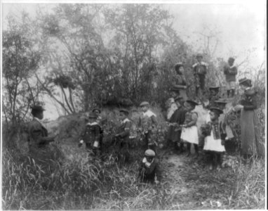 Whittier School students on a field trip studying plants, Hampton, Virginia LCCN98502970