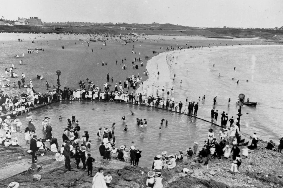 Whitmore Bay tidal pool (4785856a)