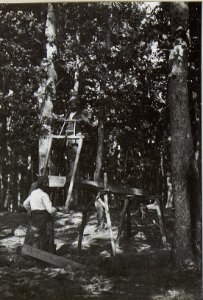 Wie Nr, 109, Baumsäge. (BildID 15675270)