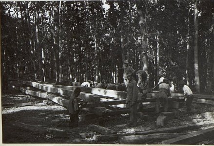 Wie Nr, 109, Hobelplatz. (BildID 15675263)
