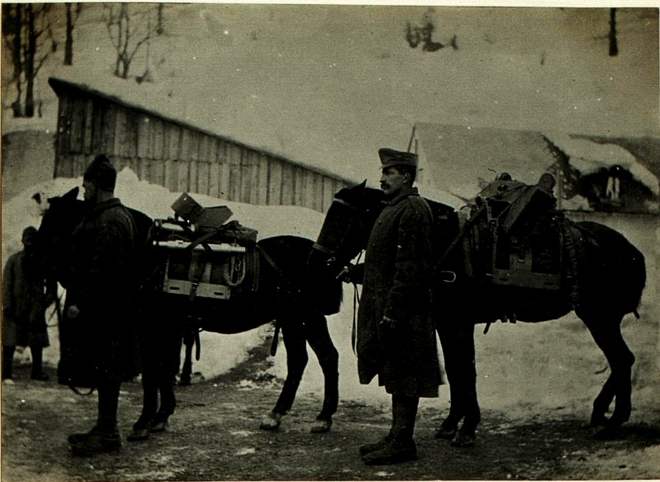 Wie Nr, 3153 Transport der Lafette. (BildID 15499378)