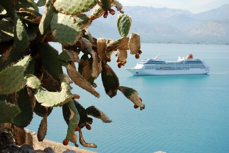 Vegetation stand bay