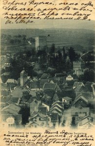 Wiesbaden, Hessen - Ruine Sonnenberg (3) (Zeno Ansichtskarten)