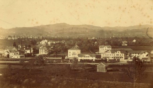 Wiesendanger Aufnahme Wetzikon vor 1897